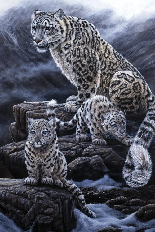 Snow Leopards by Jeremy Paul wall art