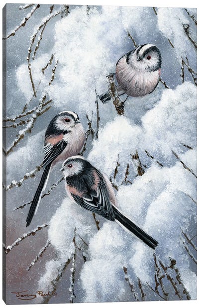 Long Tailed Tits Canvas Art Print - Rustic Winter