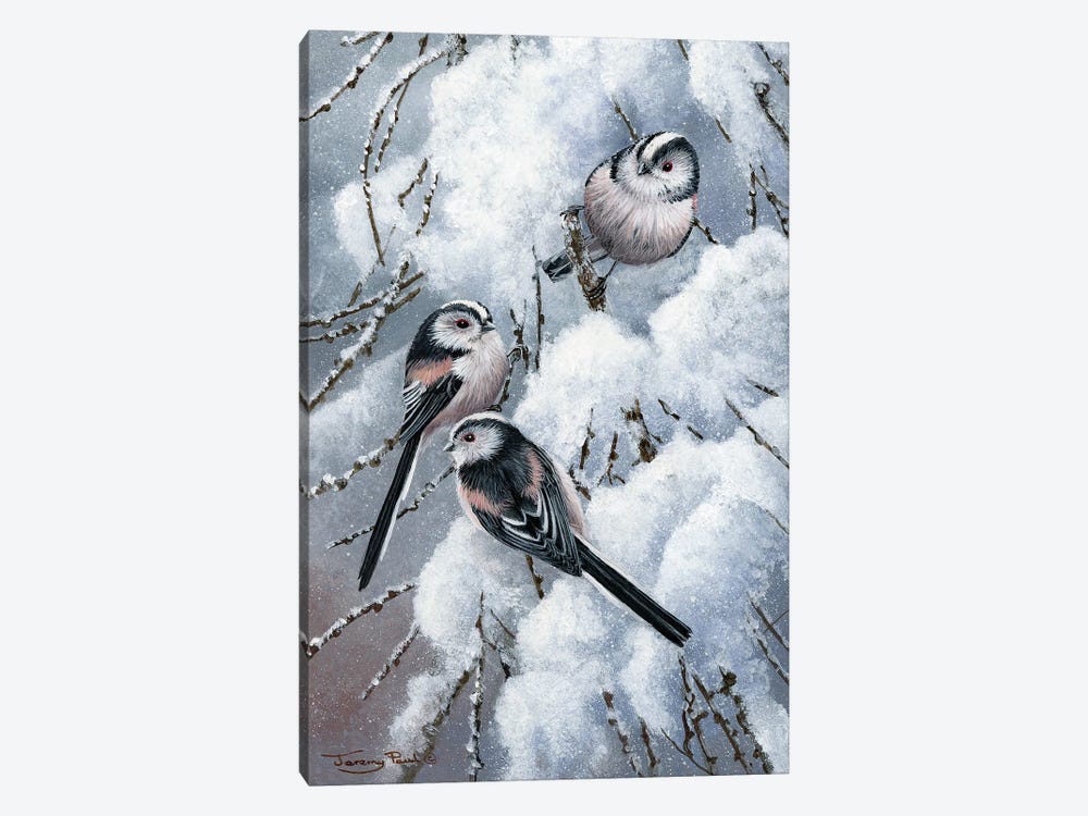 Long Tailed Tits by Jeremy Paul 1-piece Canvas Art