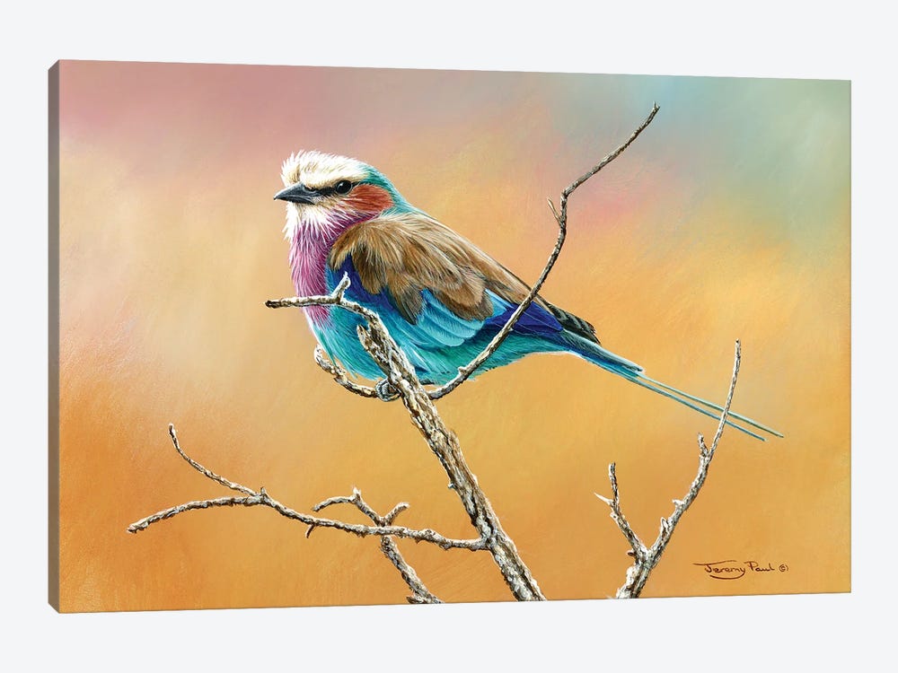 Lilac Breasted Roller by Jeremy Paul 1-piece Canvas Art Print