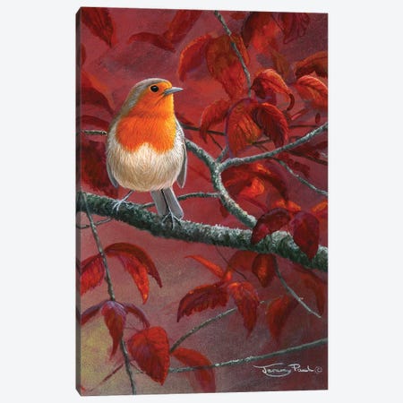 Red Leaves - Robin Canvas Print #JYP14} by Jeremy Paul Art Print
