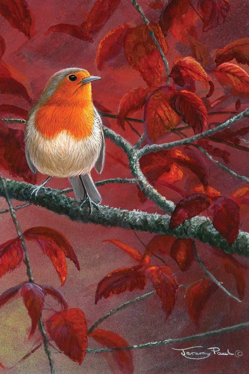 Red Leaves - Robin