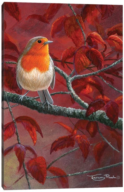 Red Leaves - Robin Canvas Art Print - Robin Art