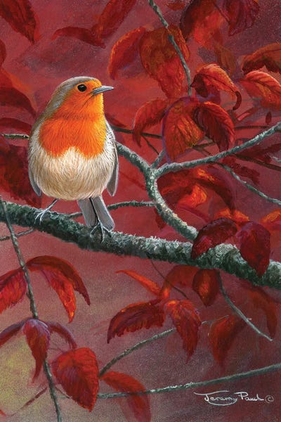 Robins: Red Leaves - Robin by Jeremy Paul