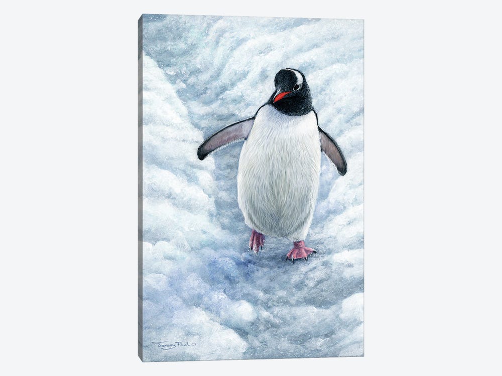 Highway - Gentoo Penguin by Jeremy Paul 1-piece Art Print