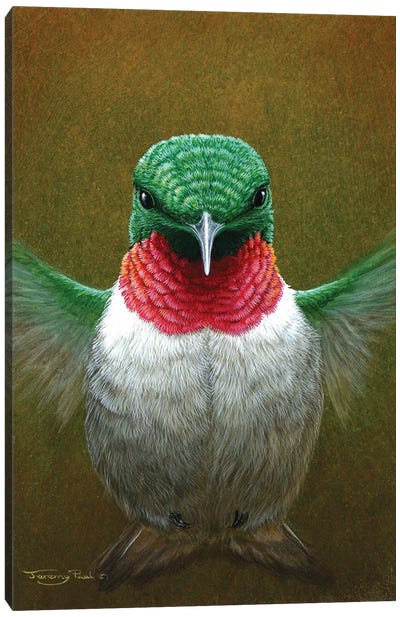 Hummingbird Canvas Art Print - The Art of the Feather