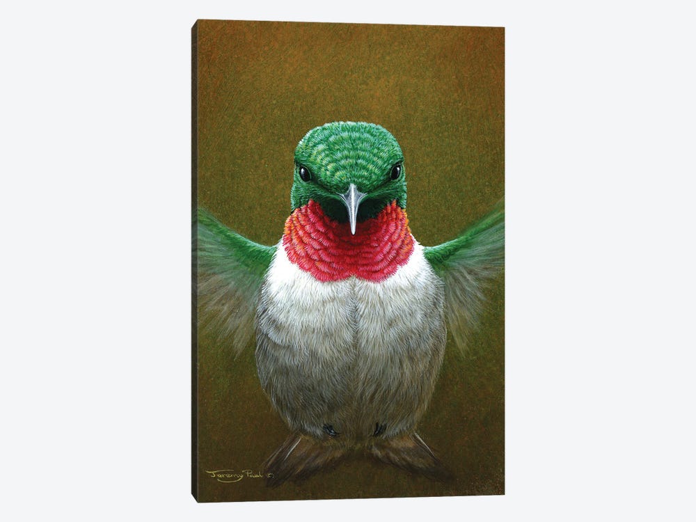 Hummingbird by Jeremy Paul 1-piece Canvas Art