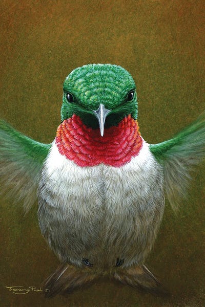 The Art Of The Feather: Hummingbird by Jeremy Paul