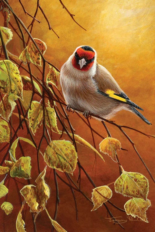 Goldfinch