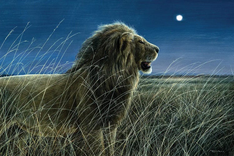 Moonlight On The Mara