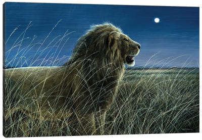 Moonlight On The Mara Canvas Art Print - Kenya