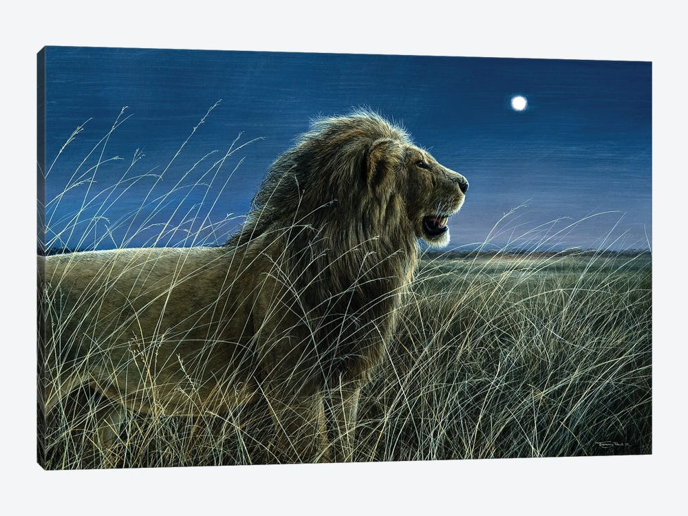 Moonlight On The Mara 1-piece Canvas Print
