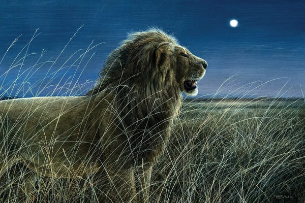 Maasai Mara National Reserve: Moonlight On The Mara by Jeremy Paul