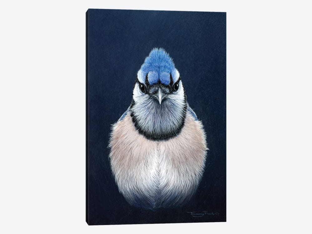 Blue Jay by Jeremy Paul 1-piece Art Print