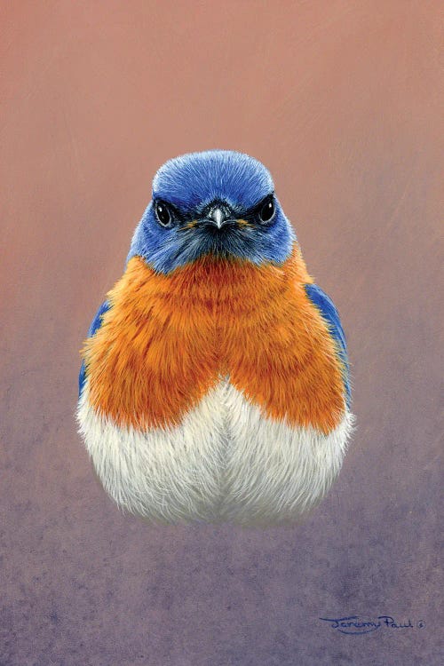 Bluebird by Jeremy Paul wall art
