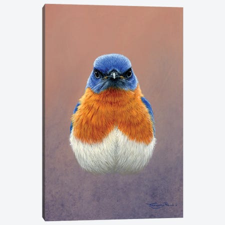 Bluebird Canvas Print #JYP23} by Jeremy Paul Canvas Art Print