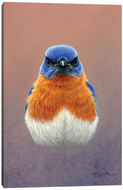Bluebird Canvas Art Print - Jeremy Paul