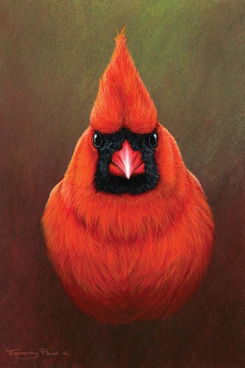 Cardinal by Jeremy Paul wall art