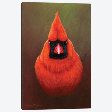Cardinal Canvas Print #JYP24} by Jeremy Paul Canvas Art
