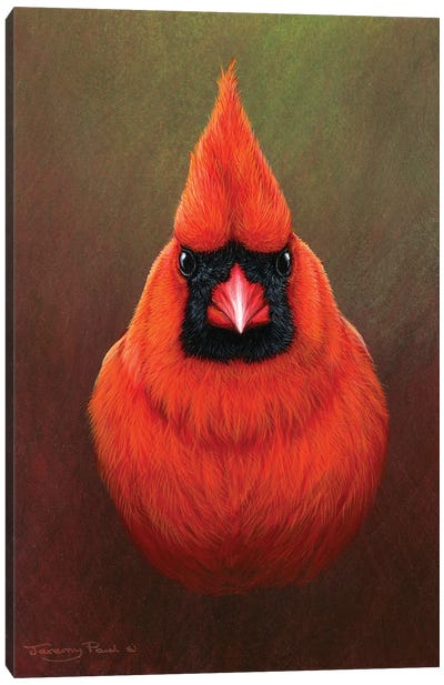 Cardinal Canvas Art Print - Jeremy Paul