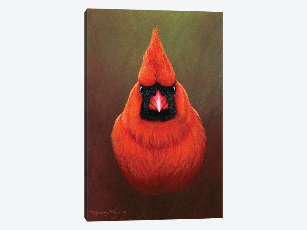 Cardinal by Jeremy Paul 1-piece Canvas Print