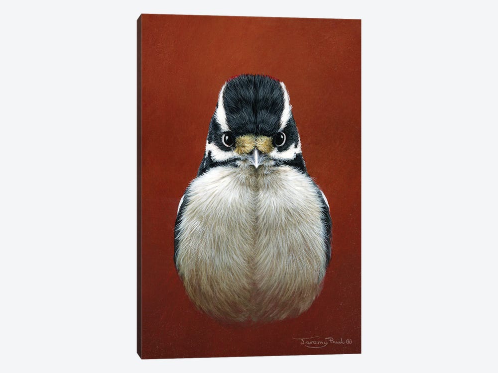 Downy Woodpecker by Jeremy Paul 1-piece Canvas Wall Art