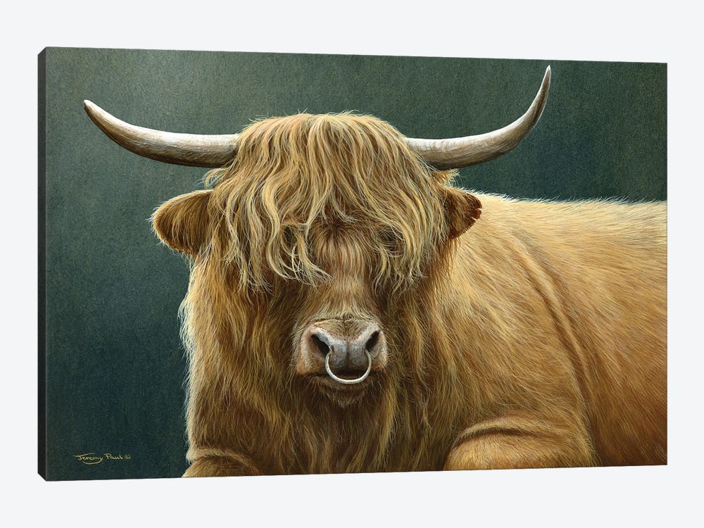 Highland Bull by Jeremy Paul 1-piece Art Print
