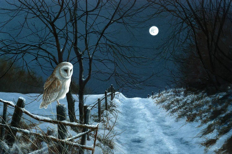 Hunter's Moon - Barn Owl by Jeremy Paul wall art