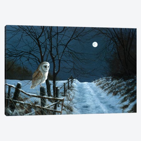 Hunter's Moon - Barn Owl Canvas Print #JYP2} by Jeremy Paul Canvas Print
