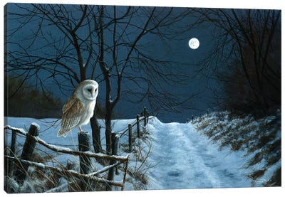 Hunter's Moon - Barn Owl Canvas Art Print - Rustic Winter