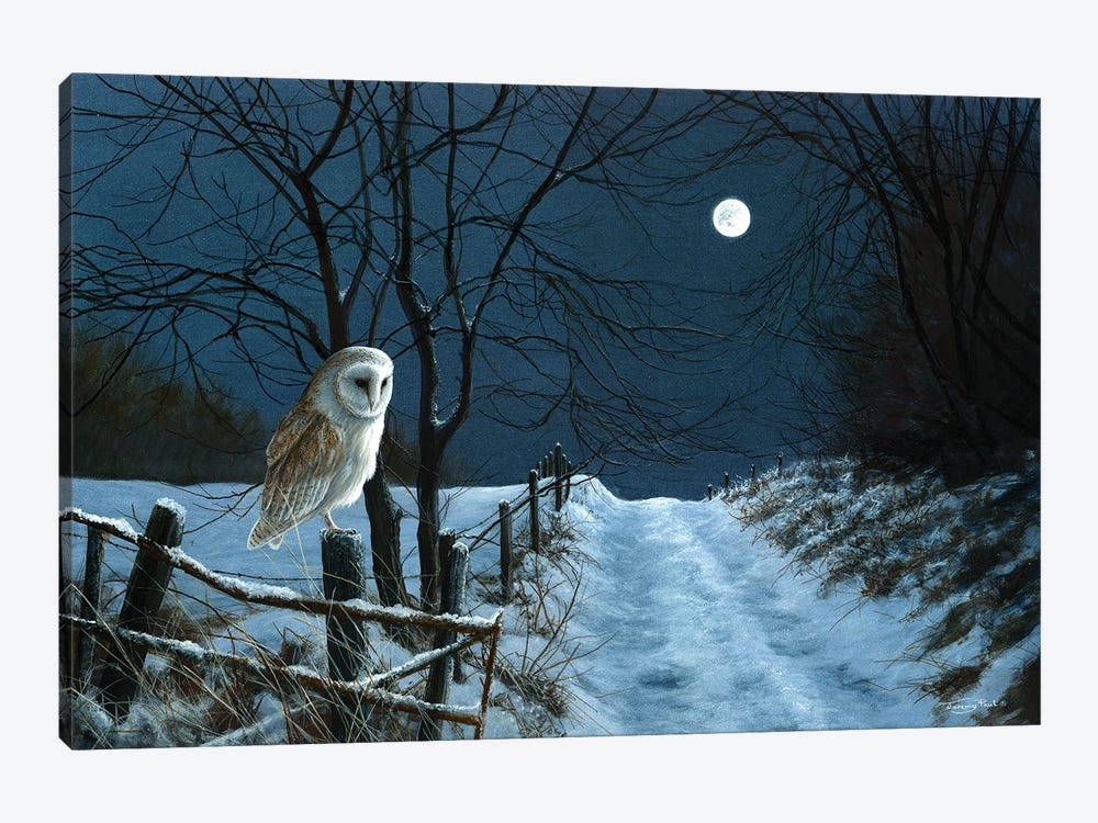 Hunter's Moon - Barn Owl by Jeremy Paul 1-piece Art Print
