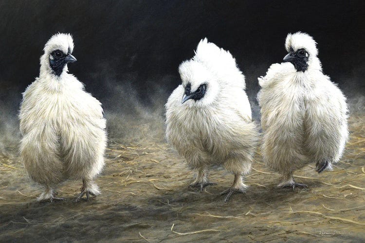 Dust Devils - Silkies