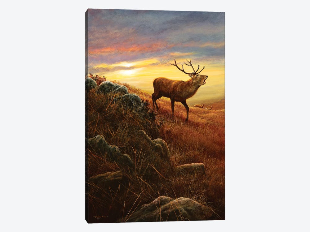 Mountain Light by Jeremy Paul 1-piece Canvas Art Print