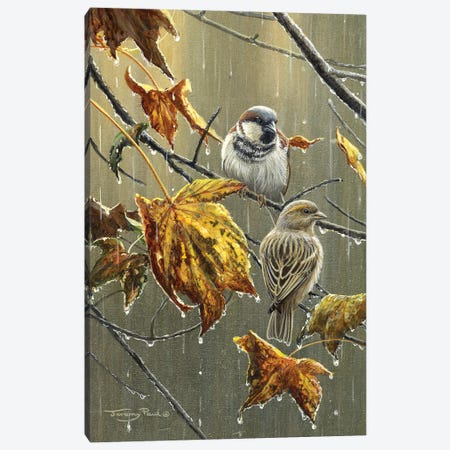 Sparrows In The Rain Canvas Print #JYP34} by Jeremy Paul Canvas Art Print