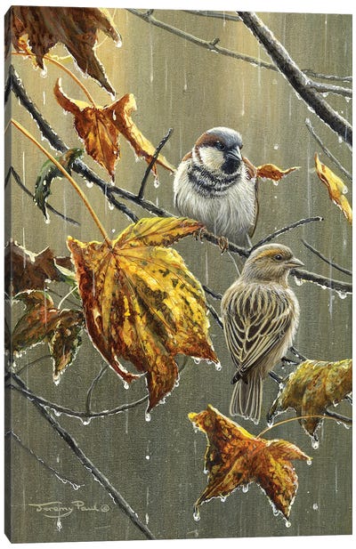 Sparrows In The Rain Canvas Art Print - Sparrow Art