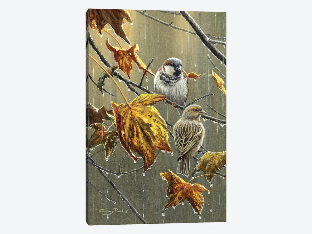 Sparrows In The Rain by Jeremy Paul 1-piece Canvas Wall Art