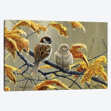 Rainy Days - Sparrows Canvas Print #JYP36} by Jeremy Paul Canvas Art Print