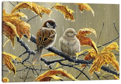 Rainy Days - Sparrows Canvas Art Print - Sparrow Art