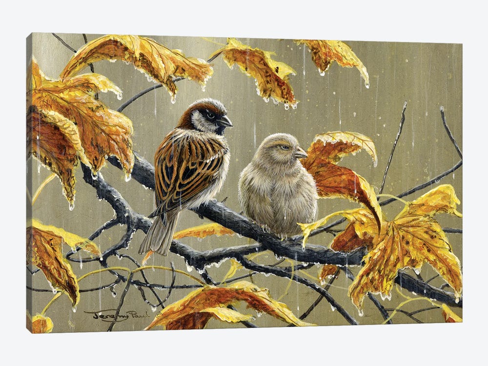 Rainy Days - Sparrows by Jeremy Paul 1-piece Canvas Wall Art