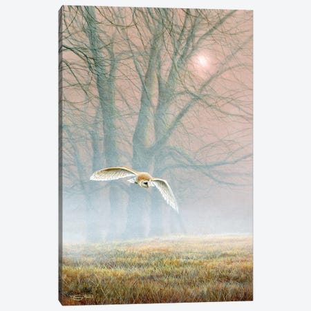 Ghost In The Mist - Barn Owl Canvas Print #JYP3} by Jeremy Paul Canvas Art Print