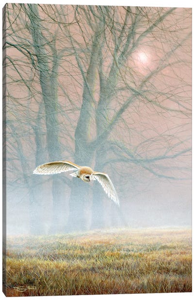 Ghost In The Mist - Barn Owl Canvas Art Print - Jeremy Paul