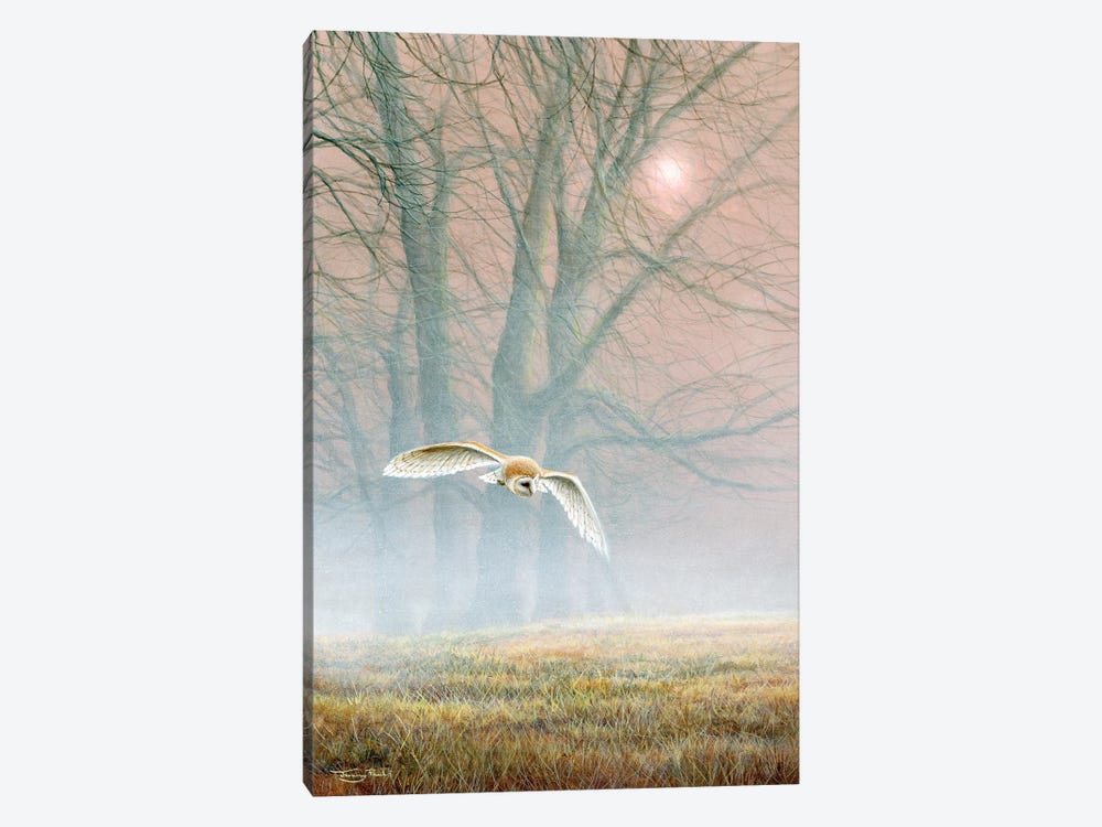 Ghost In The Mist - Barn Owl by Jeremy Paul 1-piece Canvas Artwork