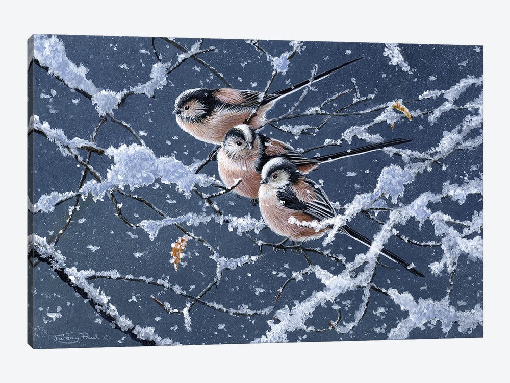 Trio - Long Tailed Tits by Jeremy Paul 1-piece Art Print