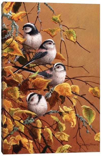 Family Group - Long Tailed Tits Canvas Art Print