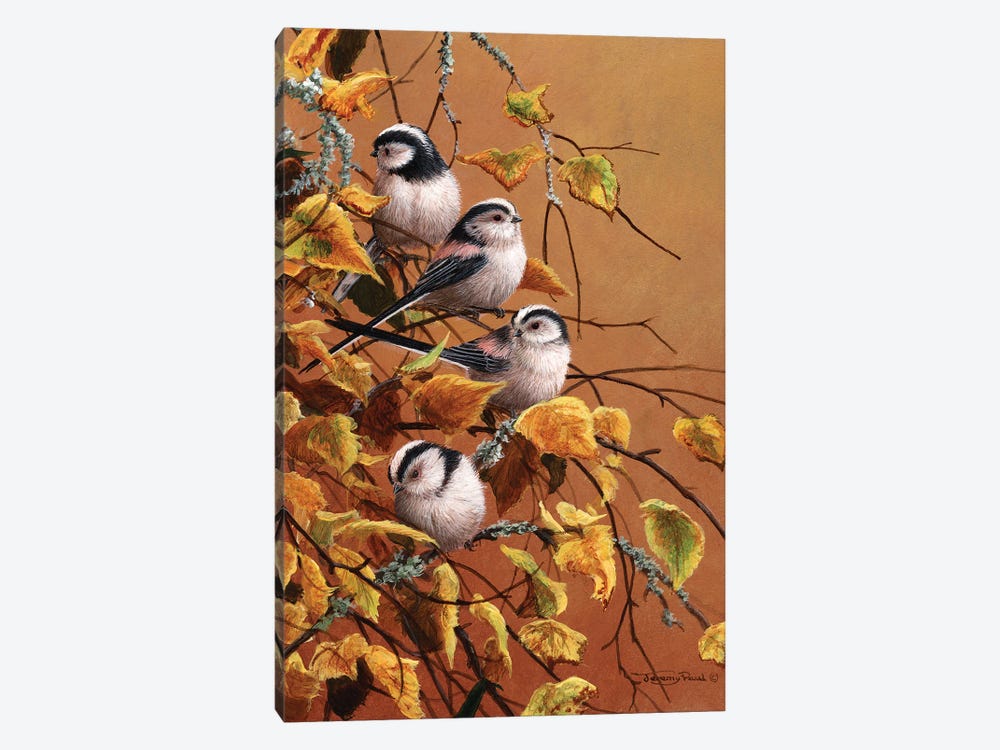 Family Group - Long Tailed Tits by Jeremy Paul 1-piece Canvas Art