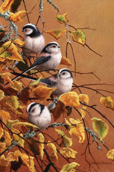 Cabin & Lodge Décor: Family Group - Long Tailed Tits by Jeremy Paul