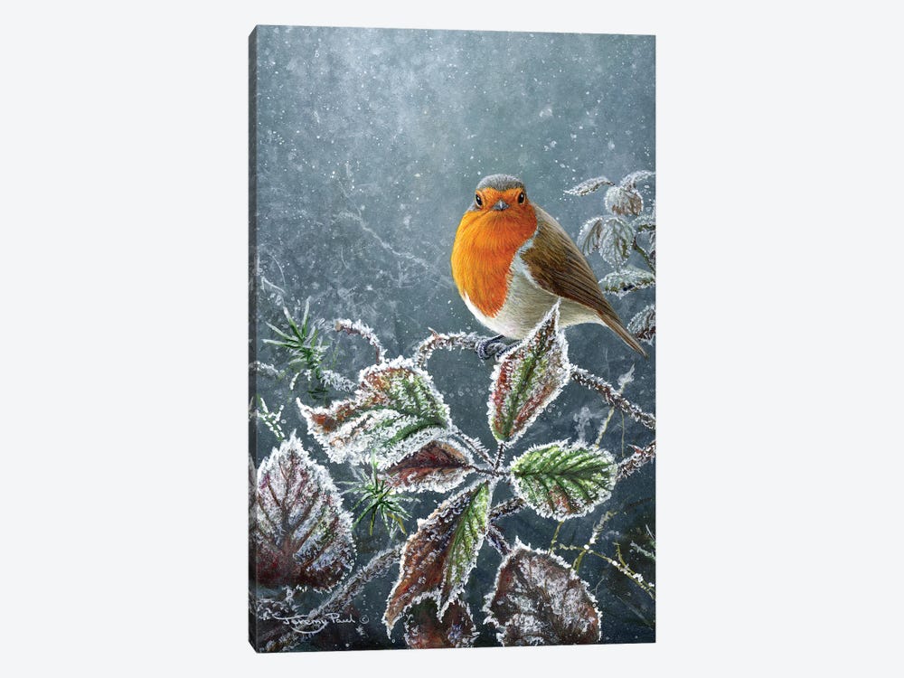 Touch Of Frost - Robin by Jeremy Paul 1-piece Canvas Artwork
