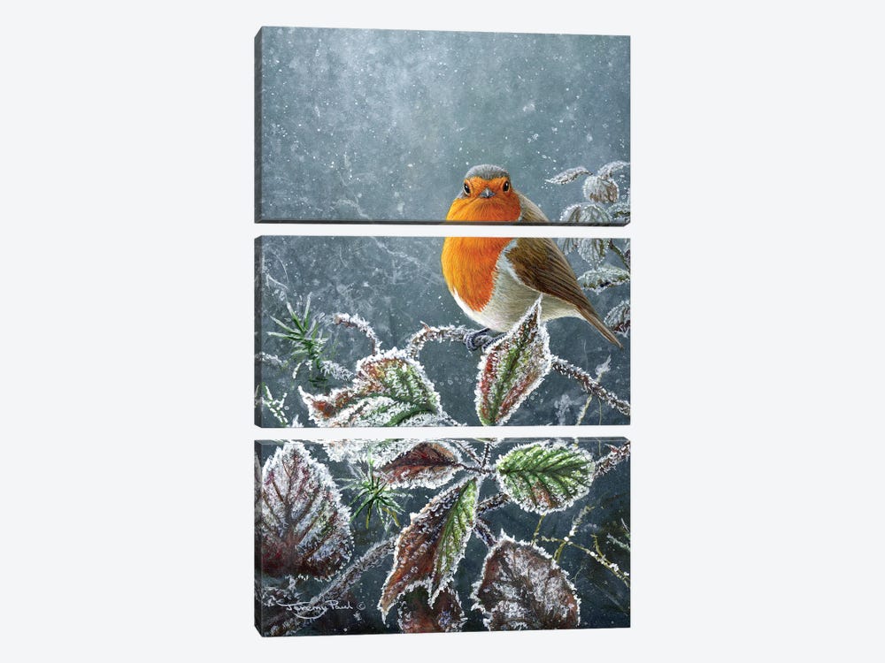Touch Of Frost - Robin by Jeremy Paul 3-piece Canvas Wall Art