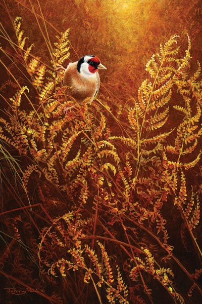 Autumn Ferns - Goldfinch by Jeremy Paul canvas print