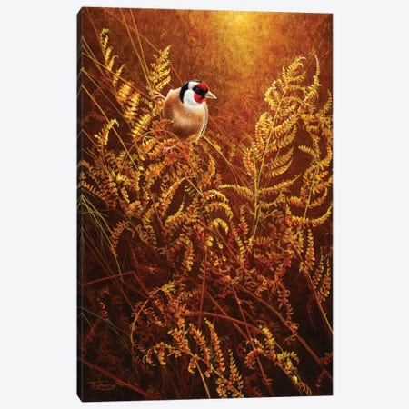 Autumn Ferns - Goldfinch Canvas Print #JYP46} by Jeremy Paul Canvas Artwork